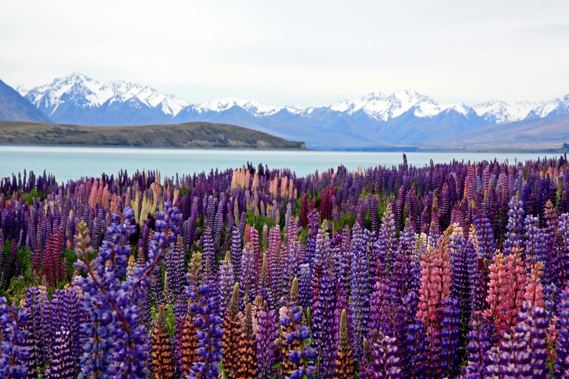 Lake Tekapo