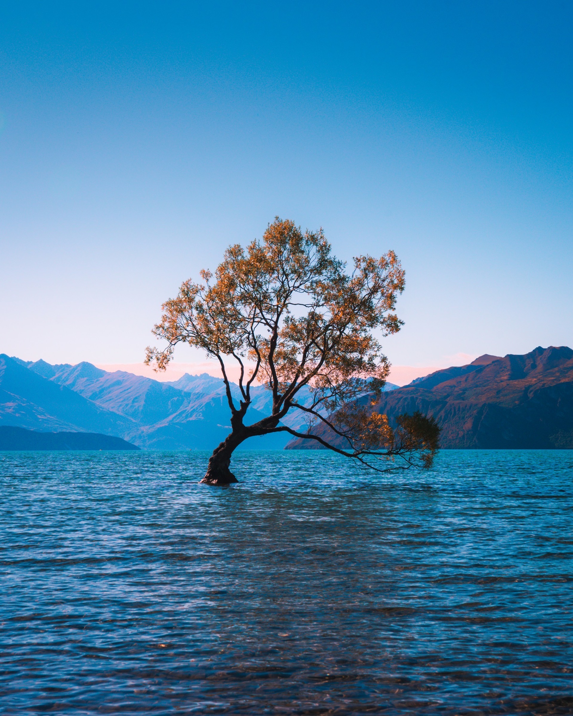 Wanaka