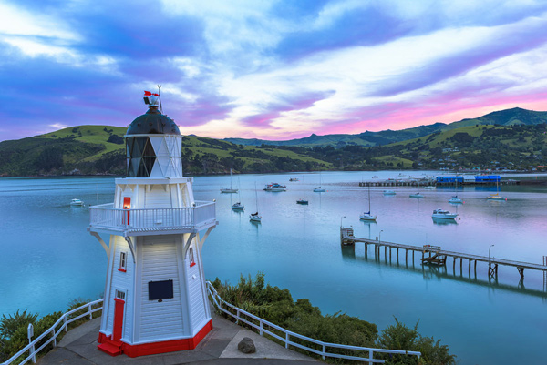 Akaroa Tour