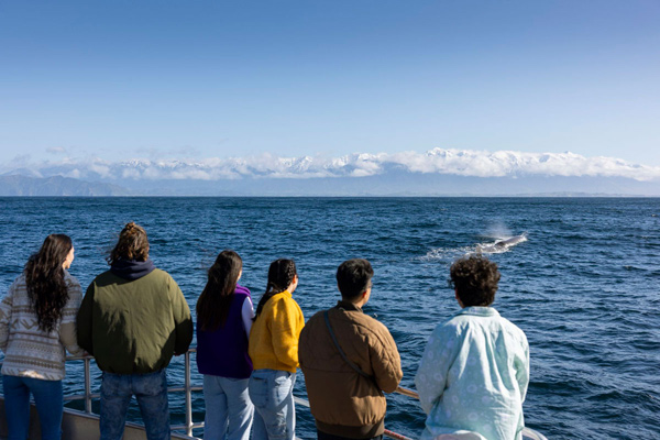 Kaikoura Tour