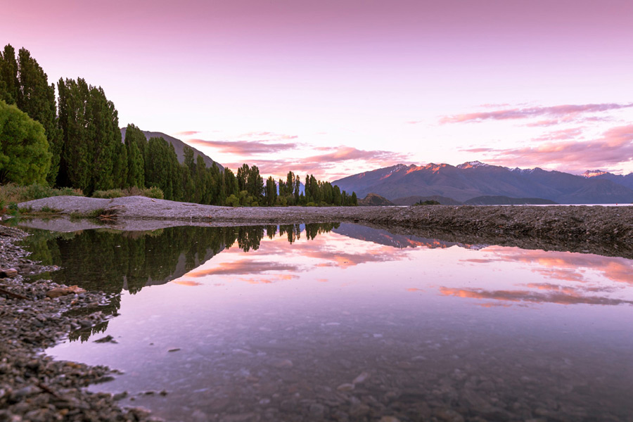 Lake Tekapo Day Tour