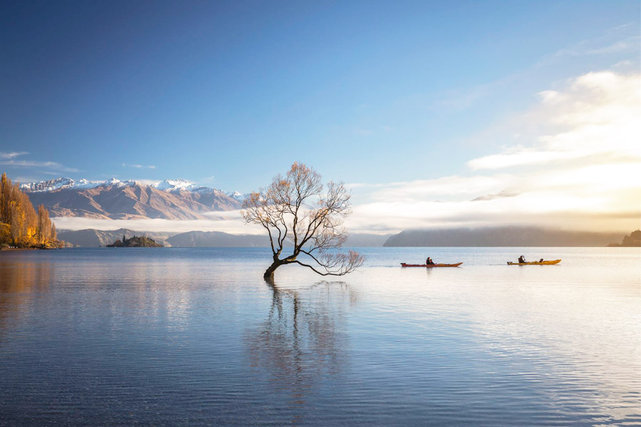 Wanaka Day Tour